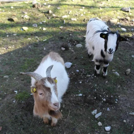 Monte Del Re Alojamento de Turismo Rural