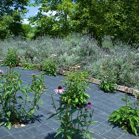 Monte Del Re Alojamento de Turismo Rural San Pietro al Natisone
