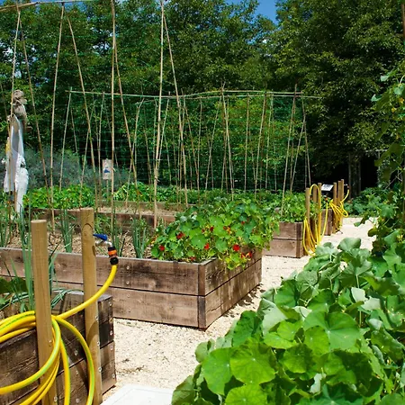 Monte Del Re San Pietro al Natisone