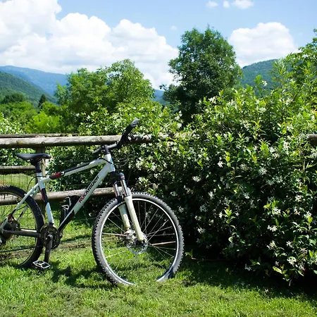 Alojamento de Turismo Rural Monte Del Re