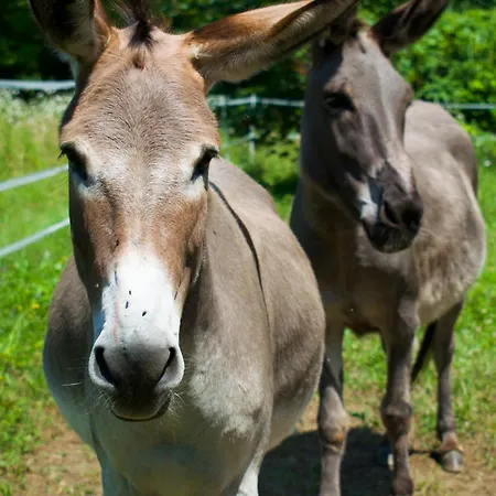 Monte Del Re Alojamento de Turismo Rural