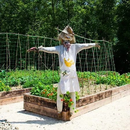 Alojamento de Turismo Rural Monte Del Re *